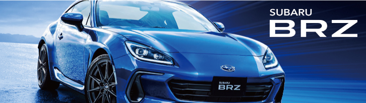 SALE／84%OFF】 BRZ GR86 メンバーブレースリア Ver2 ienomat.com.br