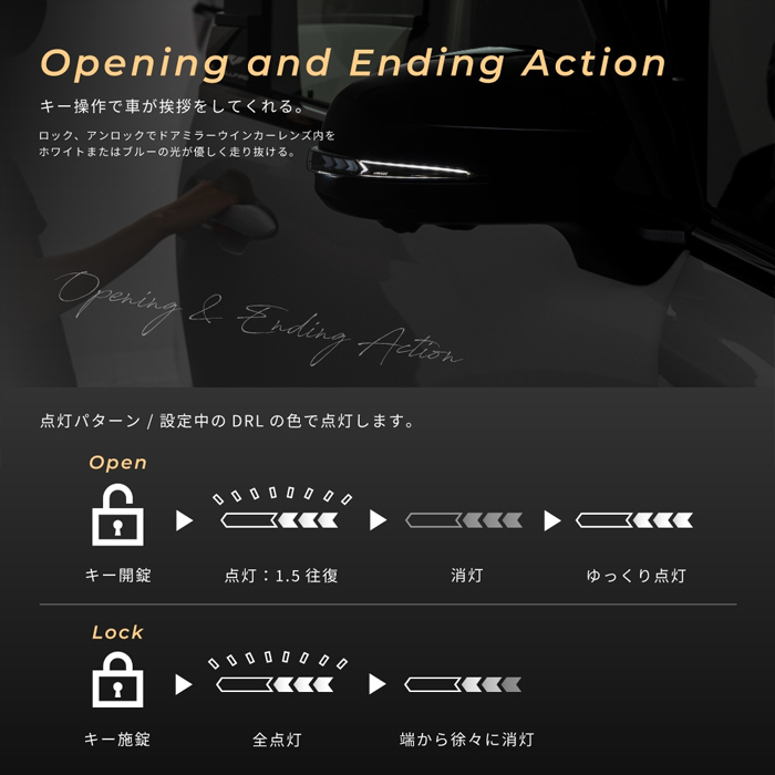 アルファード40系専用 “流れる”LEDドアミラーウィンカー Type α