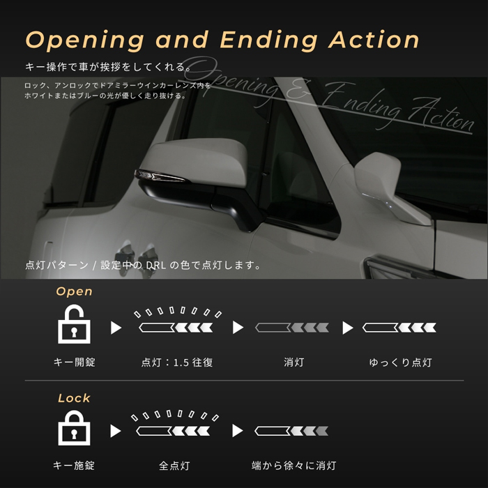 ヴェルファイア30系専用 “流れる”LEDドアミラーウィンカー Type α