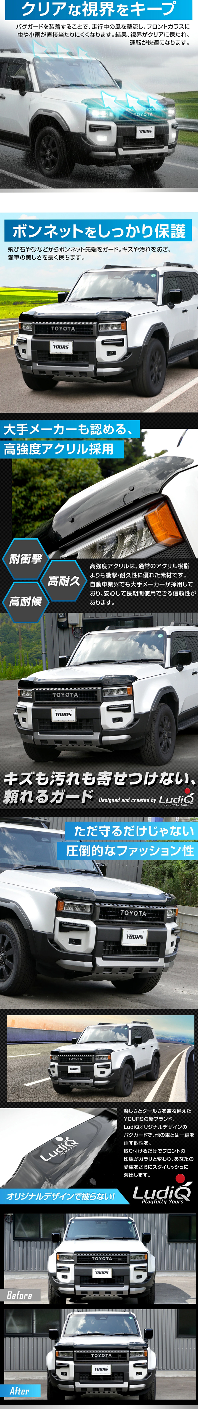 ランドクルーザー250系専用 バグガード