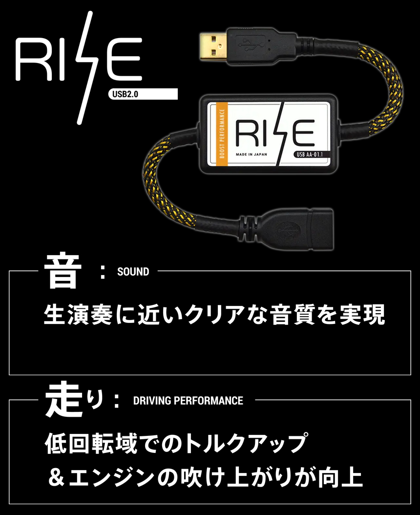 RISE USB AA-01.1 ノイズフィルター