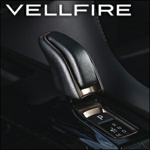 000000010964-01-l.jpg?t=